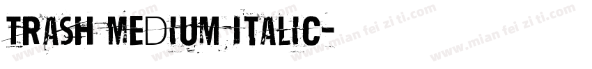 Trash Medium Italic字体转换